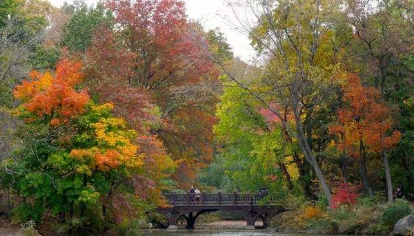 Central Park Secrets Tour (various Dates)