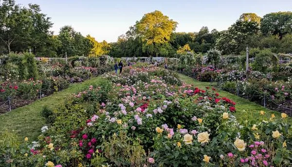 Brooklyn Botanic Garden – (Tickets and Details Here)