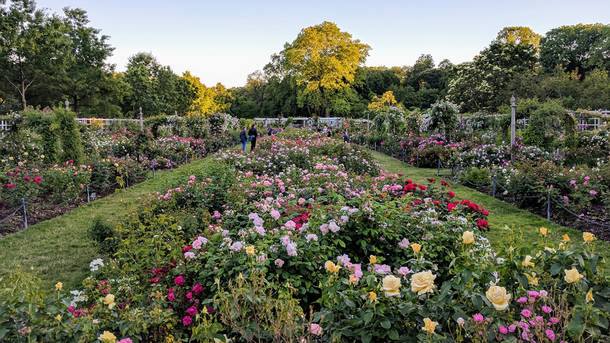 Brooklyn Botanic Garden (tickets And Details Here)