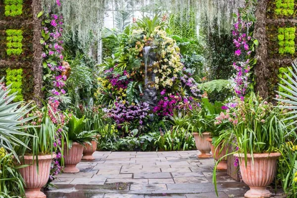 Nybg (various Dates)