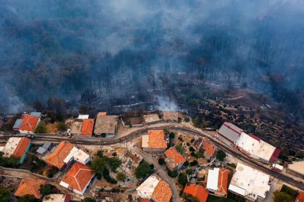 SciCafe: Living With Wildfires