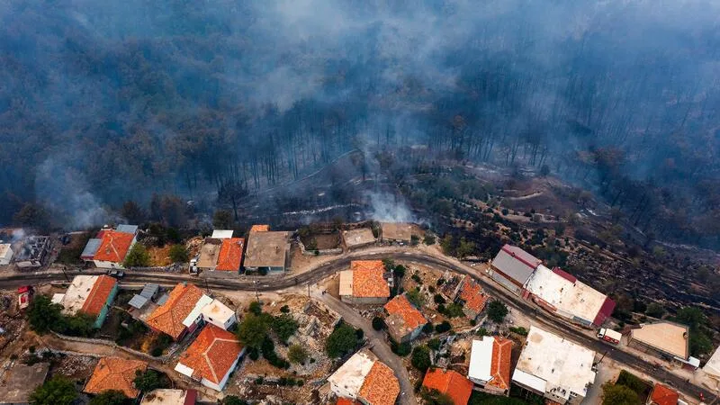 Scicafe: Living With Wildfires