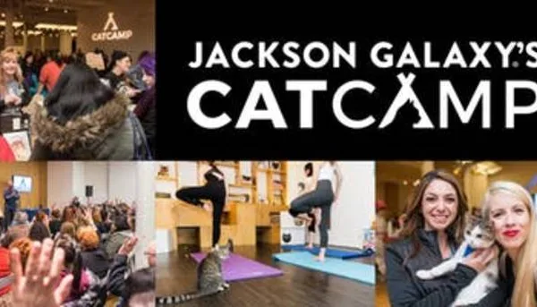 If You Love Cats, You'll Love this Event
