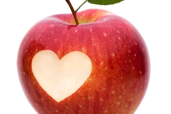 Bite Of The Big Apple Scavenger Hunt